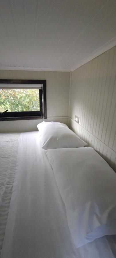 Cabanas Alto Bosque Пукон Экстерьер фото
